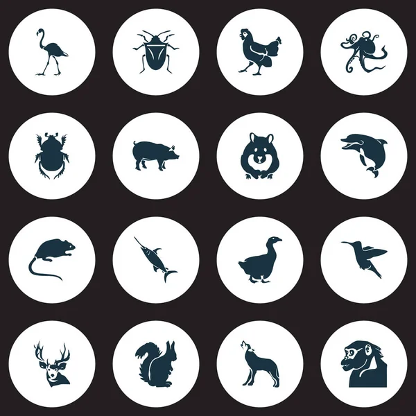 动物图标设置与鹅, 火烈鸟, 松鼠和其他鳍元素。被隔绝的例证动物图标. — 图库照片