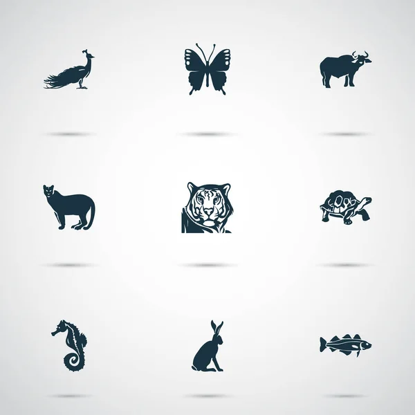 动物图标设置与牛, 野兔, 鳕鱼和其他飞蛾元素。被隔绝的例证动物图标. — 图库照片