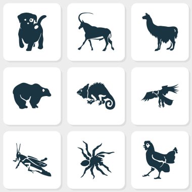 Fauna simgeler antilop, ayı, köpek ve diğer köpek öğeleri ile ayarlayın. İzole illüstrasyon fauna simgeler.