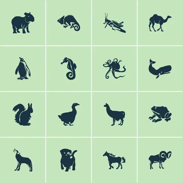 Icônes d'animaux avec loup, capybara, cachalote et autres éléments alpaga. Illustration isolée icônes animales . — Photo