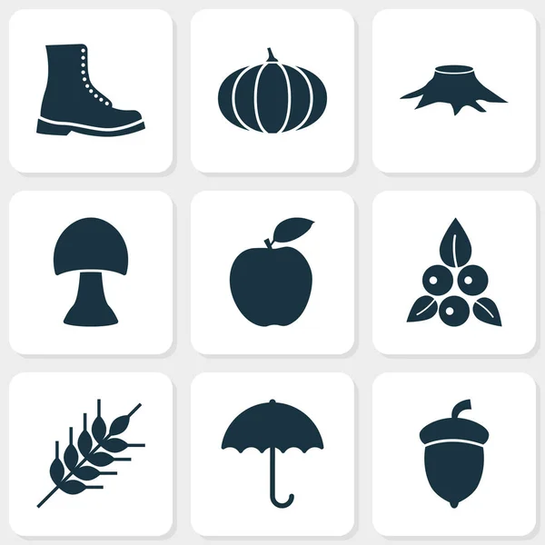 Seasonal icons set with pumpkin, stump, wheat and other shoe elements. Isolated  illustration seasonal icons. — Stock Photo, Image