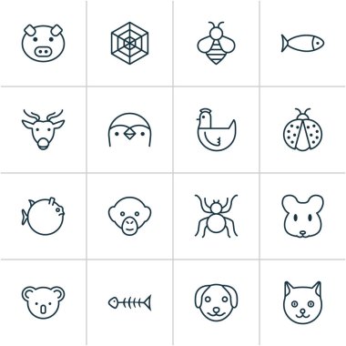 Doğa simgeler örümcek ağı, Balık kemik, Penguen ve diğer maymun öğeleri ile ayarlayın. İzole vektör çizim doğa simgeler.