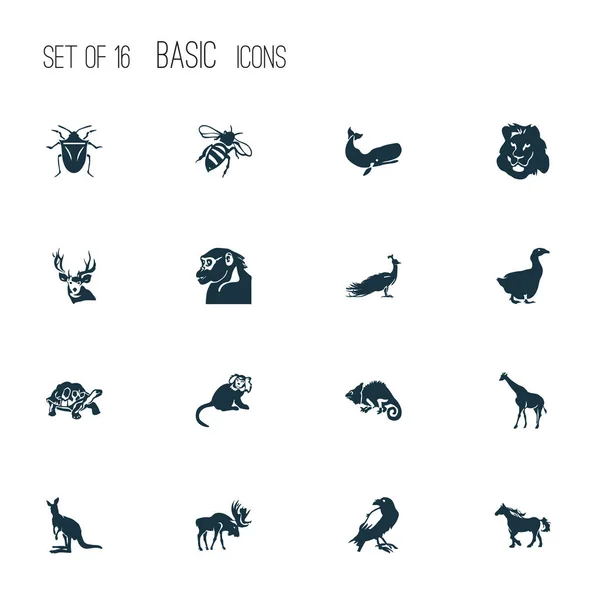 シャメロンストックベクター ロイヤリティフリーシャメロンイラスト Depositphotos