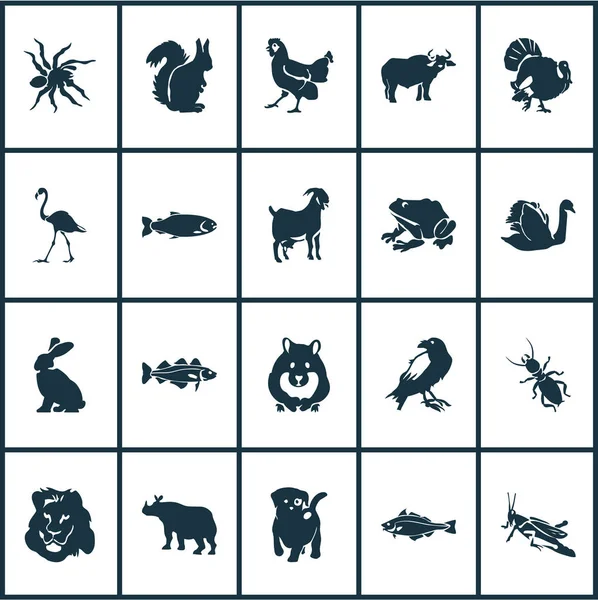 Zoo icons set with grasshopper, lion, puppy and other hen elements. Isolated  illustration zoo icons. — Stock Photo, Image