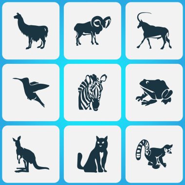 Hayvan simgeler antilop, kanguru, lemur ve diğer ceylan öğeleri ile ayarlayın. İzole vektör çizim hayvan simgeler.