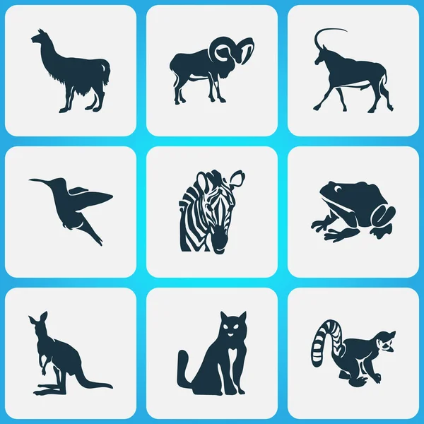 Icônes animales serties d'antilope, kangourou, lémurien et autres éléments de gazelle. Illustration vectorielle isolée icônes animales . — Image vectorielle
