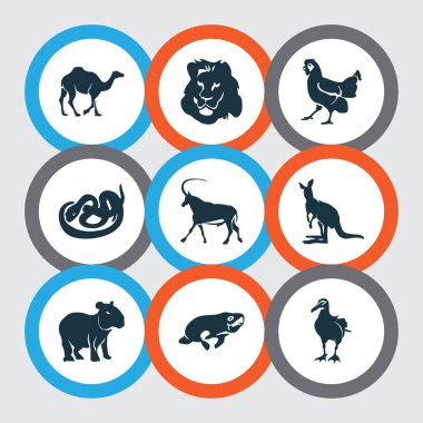 Hayvan Icons set ile aslan, antilop, yılan ve diğer martı öğeleri ile. İzole illüstrasyon hayvan simgeler.