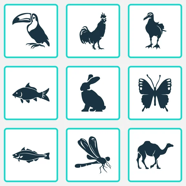 동물원 아이콘 잠자리, 나비, 토끼 및 기타 대구 요소를 설정합니다. 고립 된 그림 동물원 아이콘. — 스톡 사진