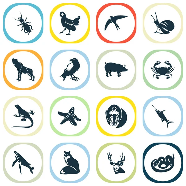 Conjunto de iconos de fauna con elementos de mandrill, swift, coyote de ciervo. Iconos de fauna de ilustración aislada . —  Fotos de Stock