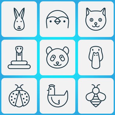 Doğa Icons set ile uğur böceği, tavuk, kedi ve diğer yaban-arısı öğeleri ile. İzole vektör çizim doğa simgeler.