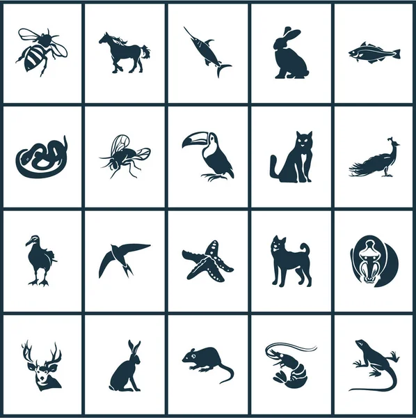 Iconos de animales engastados con elementos veloces, albatros, lagartos y otras aves tropicales. Iconos de animales de ilustración vectorial aislado . — Vector de stock
