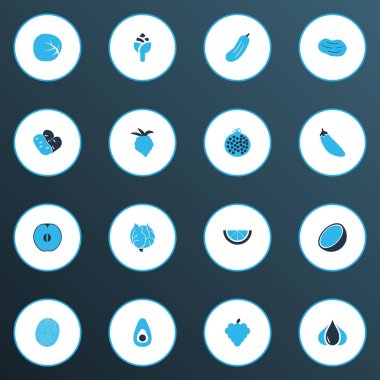 Sebze simgeler kümesi enginar, ahududu, kireç ve diğer karanfil öğeleri ile renkli. İzole illüstrasyon sebze simgeler.