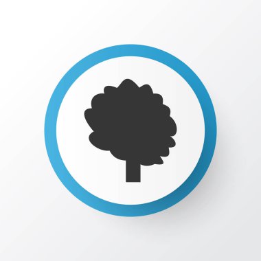 Ağaç simgesi simgesi. Premium Kalite izole ağaç elementi Trendy tarzı.