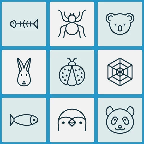 Zwierzê ikony zestaw z koala, pajęczaki, biedronka i innych elementów szkieletu ryby i owoce morza. Ilustracja na białym tle Zwierzê ikony. — Zdjęcie stockowe