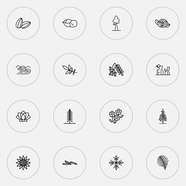 Sada světových ikon s sequoia, slunečnicovými semínky, akátovými květinami a dalšími prvky leknínů. Izolované ikony světa vektorových ilustrací. — Stockový vektor