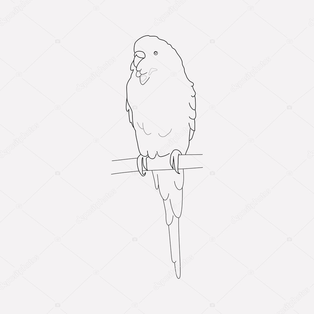 Parrot icon line element. Vector illustration of parrot icon line isolated on clean background for your web mobile app logo design.