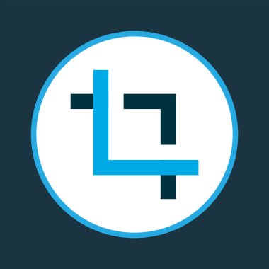 Simge renkli simgeyi yakala. Moda tarzında birinci kalite izole edilmiş merkez odak ögesi.