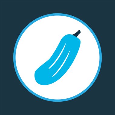 Gherkin simgesi renkli sembol. Moda tarzında birinci kalite yalıtılmış salatalık ögesi.