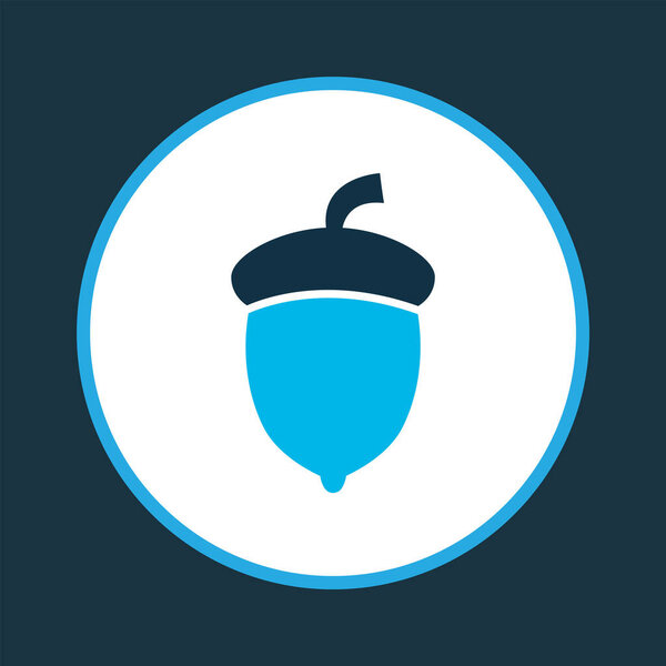 Oak nut icon colored symbol. Premium quality isolated acorn element in trendy style.