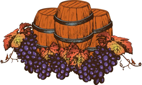 Druiven Wijnvaten Vector Illustratie Van Gravure Stijl Witte Achtergrond — Stockvector