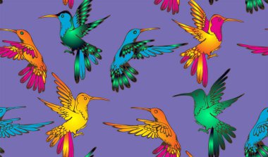 Kusursuz kolibri deseni. Vektör çizimi. Kumaş, ambalaj kağıdı ve benzeri şeyler için uygun.