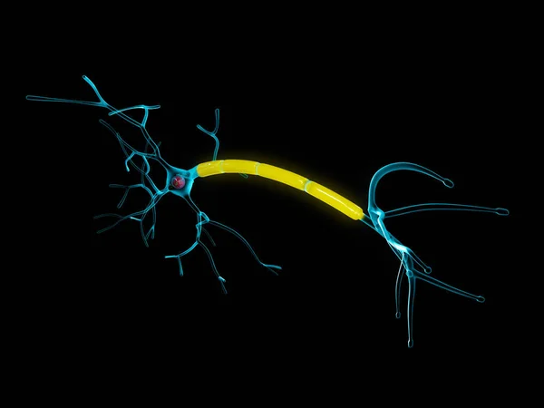 Anatomia Dos Neurônios Ilustração Fundo Preto Isolado — Fotografia de Stock