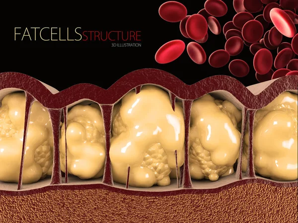 Illustratie Van Vetcellen Met Bloedcellen Zwarte Achtergrond — Stockfoto