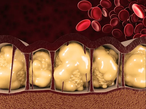 Иллюстрация Жировых Клеток Клетками Крови Красном Фоне — стоковое фото