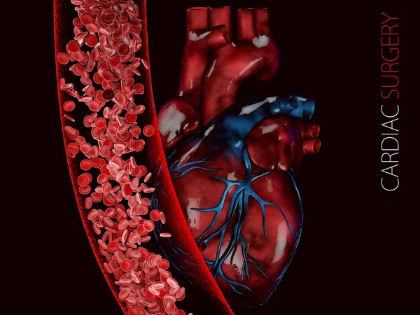 human heart and vein with blood cells. polygonal graphics 3d Illustration.