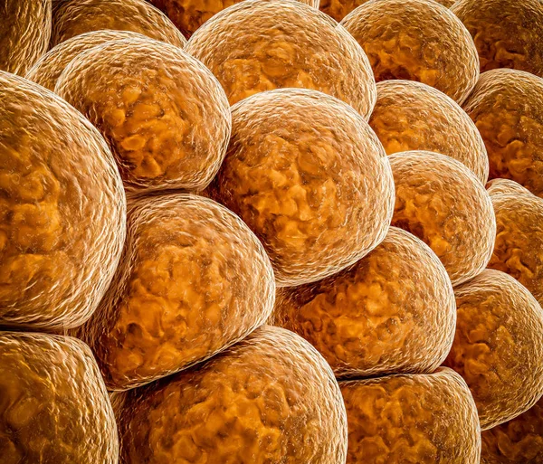 3d Illustration of Fat cells abstract background — Stock Photo, Image