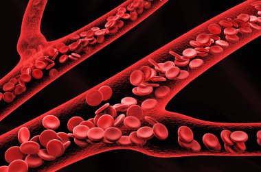 kırmızı kan hücrelerinin damar 3D çizimi