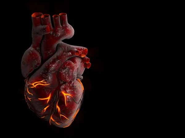 3D obrázek lidské srdce s ohněm žíly. — Stock fotografie