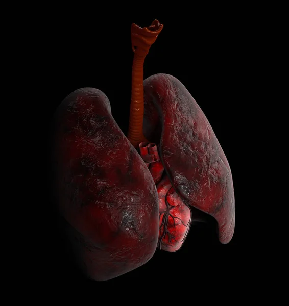 Anatomía pulmonar y cardíaca humana, Ilustración 3d sobre fondo negro — Foto de Stock