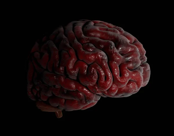 Ilustração 3d do cérebro humano no fundo preto — Fotografia de Stock