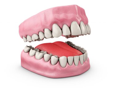 Dişleri ile çene. Diş Hekimliği, tıp kavramı. Beyaz arka plan üzerinde izole. 3D çizim