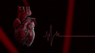 Kalp ve kalp beat nabız video tıbbi uygulamalar ve Web siteleri için