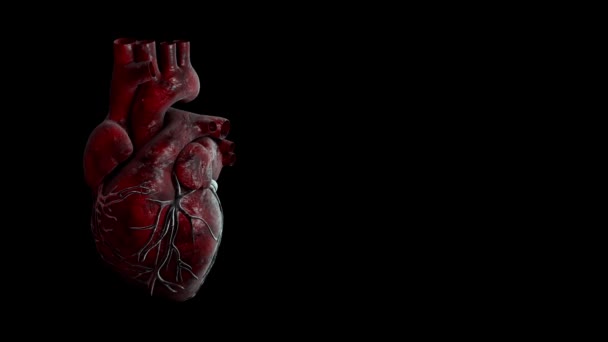 Heartbeat puls video för medicinska applikationer och webbplatser — Stockvideo