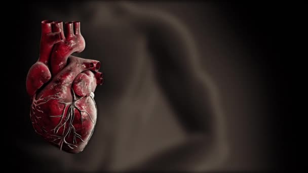 Srdce a srdeční tep tep video pro lékařské aplikace a weby.