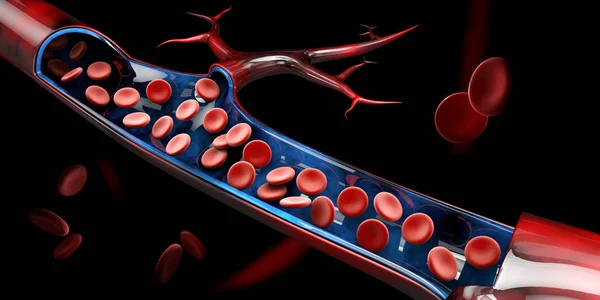 정 맥에서 혈액 세포의 3d 그림 — 스톡 사진