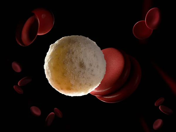 3d rendered illustration of a white blood cell — Stock Photo, Image