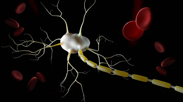 Ilustración 3d de la anatomía de Neuron, negro aislado infográfico — Foto de Stock