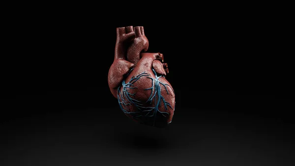 Anatomía del corazón humano aislado en negro, 3d renderizado — Foto de Stock