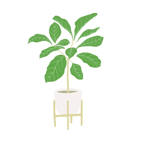 Ficus boom. Home hand tekening fabriek in keramische mand — Stockvector