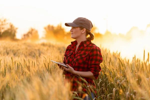 Una mujer agricultora con tableta. —  Fotos de Stock