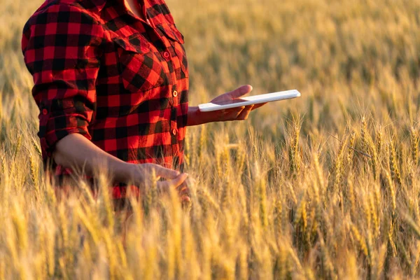 Uma mulher agricultora com tablet. — Fotografia de Stock