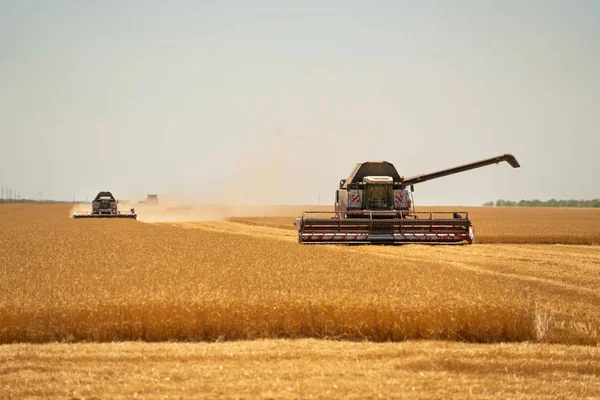 Combineren van harvester voor het oogsten van tarwe. — Stockfoto