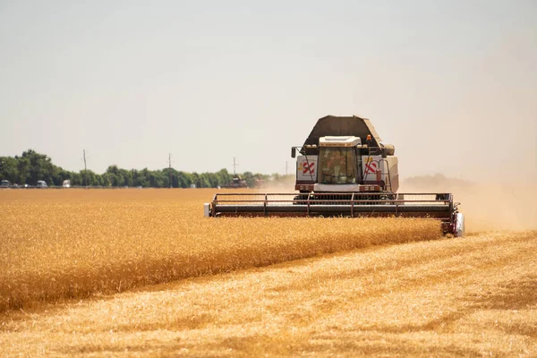 Combineren van harvester voor het oogsten van tarwe. — Stockfoto