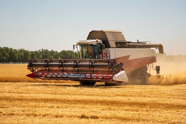 Combineren van harvester voor het oogsten van tarwe. — Stockfoto