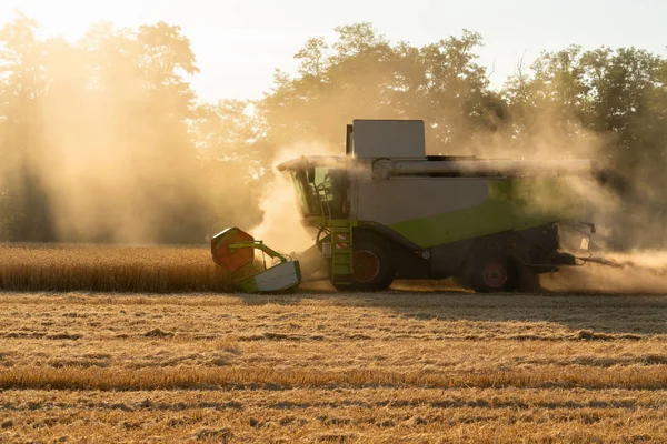 Combineren van harvester voor het oogsten van tarwe. — Stockfoto