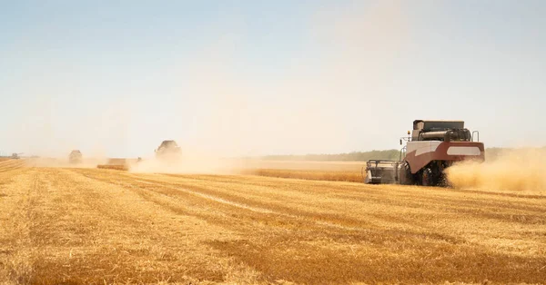 Combineren van harvester voor het oogsten van tarwe. — Stockfoto